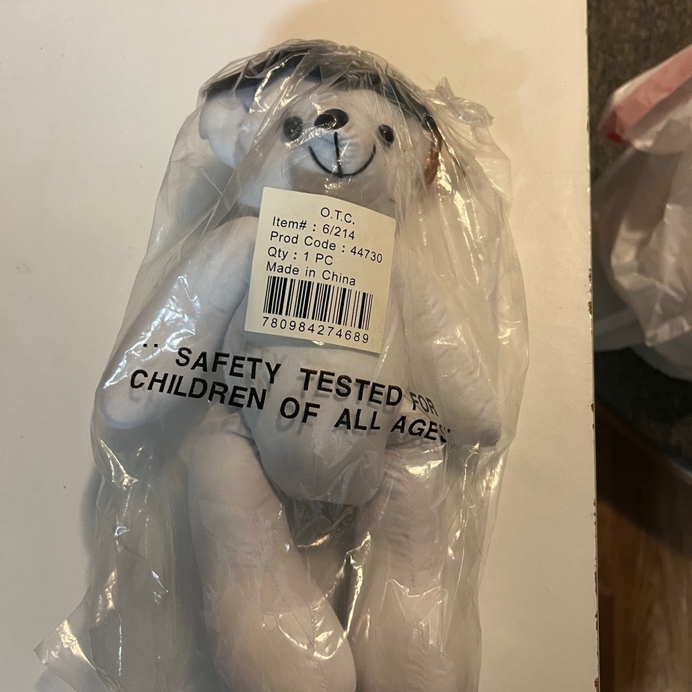Graduation Designing Bear